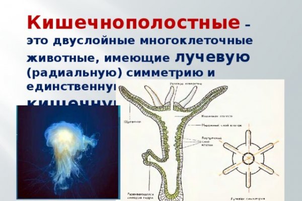 Kraken маркетплейс